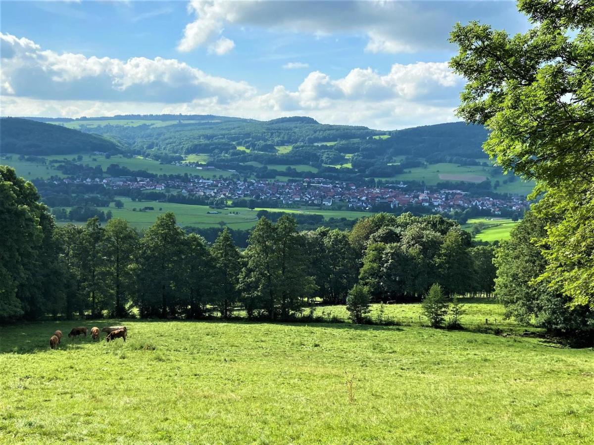 Ferienwohnung Natur-Pur Ehrenberg  Bagian luar foto